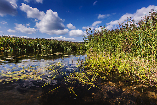 포토 JPG 해외이미지 나무 식물 유럽 호수 여행 자연 사람 풍경 사람없음 여름 강 달리기 보트 숲 상쾌 카누 카약 폴란드 해외202004 해외202105 해외포토 계절 감정 나라 배_교통 모션 수상스포츠 생태계 파일형식