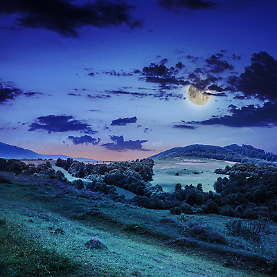 포토 JPG 해외이미지 나무 구름 유럽 여행 백그라운드 자연 하늘 산 풍경 초원 사람없음 야외 여름 달 소나무 야간 숲 전나무 해외202004 해외202105 해외포토 자연요소 식물 계절 나라 생태계 파일형식
