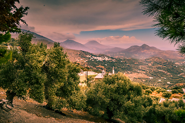 포토 JPG 해외이미지 주간 나무 구름 자연 하늘 산 풍경 사람없음 야외 그리스 해외202004 해외202105 해외포토 자연요소 식물 유럽 생태계 파일형식
