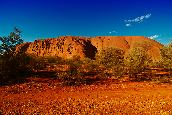 포토 JPG 해외이미지 나무 식물 실루엣 모래 여행 자연 하늘 건조 풍경 사람없음 야외 여름 태양 봄 사막 뜨거움 호주 영토 오지 해외202004 해외202105 해외포토 자연요소 계절 촬영기법 오세아니아 생태계 파일형식
