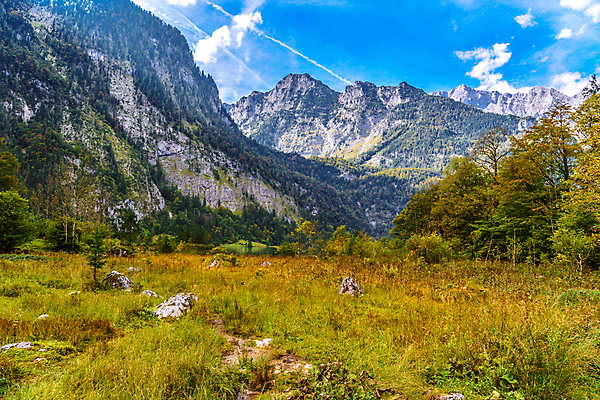 포토 JPG 해외이미지 주간 나무 구름 자연 하늘 산 풍경 사람없음 야외 맑음 풀 바이에른 해외202004 해외202105 해외포토 자연요소 식물 날씨 독일 생태계 파일형식