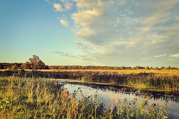 포토 JPG 해외이미지 주간 구름 하늘 풍경 초원 사람없음 야외 강 반사 가을 연못 러시아 자연백그라운드 해외202004 해외202105 해외포토 자연요소 계절 유럽 백그라운드 자연 파일형식
