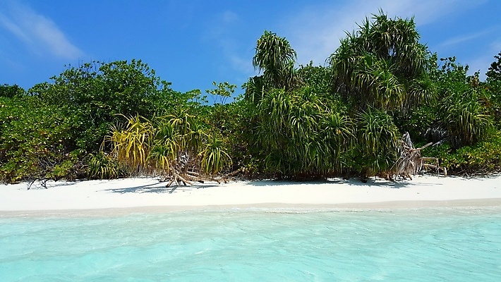 포토 JPG 해외이미지 나무 바다 섬 백그라운드 자연 하늘 풍경 사람없음 여름 모래사장 모래언덕 몰디브 해외202004 해외202105 해외포토 식물 계절 아시아 언덕 생태계 파일형식