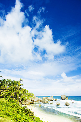 포토 JPG 해외이미지 주간 구름 바다 자연 하늘 풍경 해변 사람없음 야외 야자수 바위 자연백그라운드 대서양 해외202004 해외202105 해외포토 자연요소 나무 백그라운드 돌_바위 생태계 파일형식