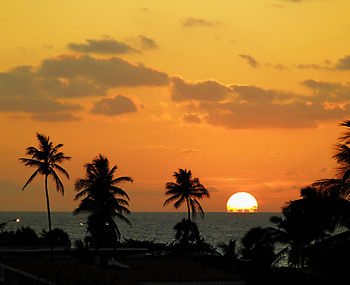 포토 JPG 해외이미지 구름 실루엣 바다 자연 하늘 풍경 사람없음 야외 여름 야자수 일몰 야간 쿠바 해외202004 해외202105 해외포토 자연요소 나무 계절 촬영기법 노을 중앙아메리카 생태계 파일형식