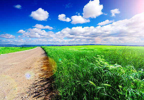 포토 JPG 해외이미지 주간 구름 길 자연 하늘 풍경 초원 사람없음 야외 햇빛 봄 자연백그라운드 해외202004 해외202105 해외포토 자연요소 계절 백그라운드 태양 생태계 파일형식