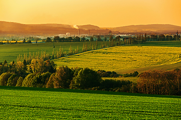 포토 JPG 해외이미지 나무 밭 자연 하늘 풍경 사람없음 야외 농경지 노을 야간 숲 자연백그라운드 해외202004 해외202105 해외포토 자연요소 식물 백그라운드 농업 농장 생태계 파일형식