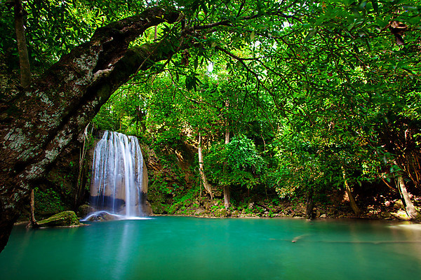 포토 JPG 해외이미지 나무 공원 여행 백그라운드 잎 모션 태국 자연 산 이끼 풍경 사람없음 야외 여름 반사 봄 폭포 바위 연못 숲 해외202004 해외202105 해외포토 식물 계절 공공시설 아시아 돌_바위 생태계 파일형식