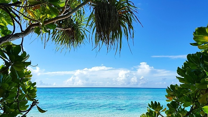 포토 JPG 해외이미지 주간 구름 바다 자연 하늘 풍경 사람없음 야외 야자수 자연백그라운드 몰디브 수평선 해외202004 해외202105 해외포토 자연요소 나무 아시아 백그라운드 생태계 파일형식