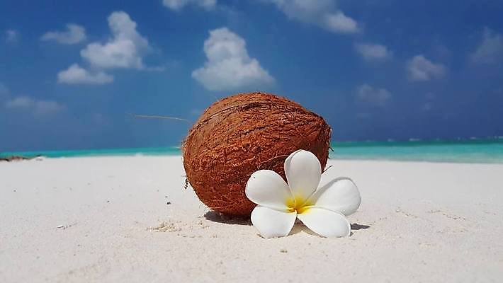 포토 JPG 해외이미지 꽃잎 꽃 음료 음식 모래 바다 섬 여행 백그라운드 자연 하늘 따뜻함 풍경 사람없음 야외 여름 모래사장 태양 우유 먹기 코코넛 몰디브 해외202004 해외202105 해외포토 자연요소 식물 계절 아시아 과일 모션 유제품 생태계 파일형식