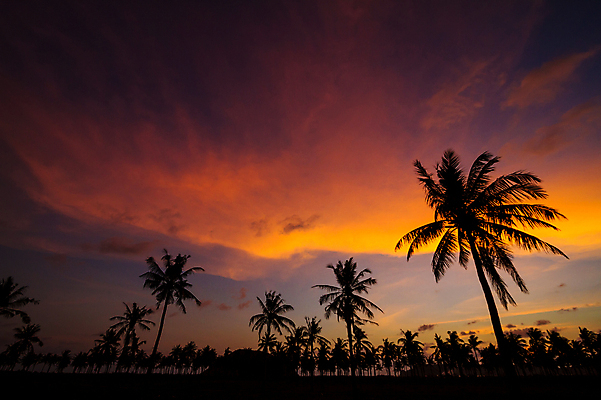 포토 JPG 해외이미지 구름 실루엣 자연 하늘 풍경 사람없음 야외 야자수 노을 야간 자연백그라운드 인도네시아 해외202004 해외202105 해외포토 자연요소 나무 아시아 백그라운드 촬영기법 생태계 파일형식