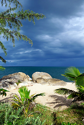 포토 JPG 해외이미지 주간 구름 바다 자연 하늘 풍경 사람없음 야외 야자수 바위 자연백그라운드 수평선 해외202004 해외202105 해외포토 자연요소 나무 백그라운드 돌_바위 생태계 파일형식