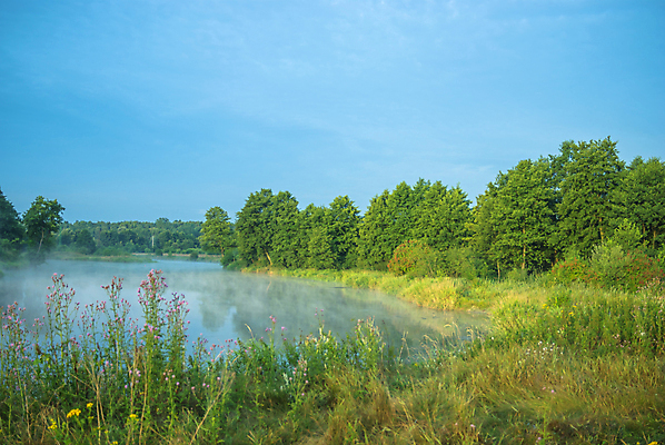 포토 JPG 해외이미지 주간 나무 자연 하늘 풍경 사람없음 야외 숲 자연백그라운드 해외202004 해외202105 해외포토 자연요소 식물 백그라운드 생태계 파일형식