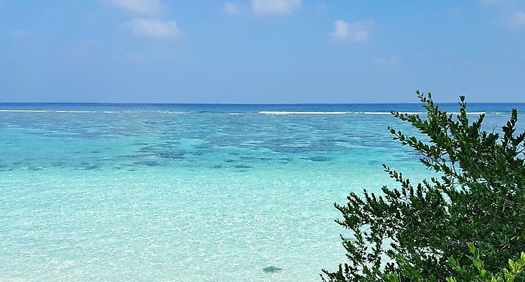 포토 JPG 해외이미지 주간 나무 바다 자연 하늘 풍경 사람없음 야외 자연백그라운드 몰디브 해외202004 해외202105 해외포토 자연요소 식물 아시아 백그라운드 생태계 파일형식