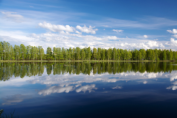 포토 JPG 해외이미지 주간 나무 구름 호수 자연 핀란드 풍경 사람없음 야외 반사 수면 숲 자연백그라운드 해외202004 해외202105 해외포토 자연요소 식물 백그라운드 북유럽 물 생태계 파일형식