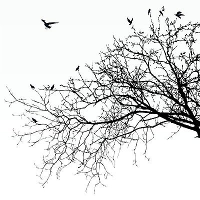 EPS 해외이미지 나무 실루엣 여러마리 일러스트 조류 사람없음 나뭇가지 해외202004 해외202105 해외일러스트 식물 동물 다수 촬영기법 파일형식 벡터