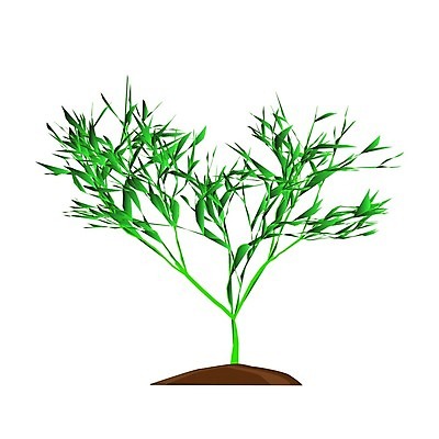 EPS 해외이미지 나무 식물 실루엣 단풍 잎 일러스트 사람없음 봄 사과 숲 올리브 망고 자두 무화과 웅장함 현실 국경 해외202004 해외202105 해외일러스트 계절 열매 과일 촬영기법 열대과일 파일형식 벡터