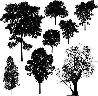 EPS 해외이미지 나무 식물 실루엣 일러스트 흑백 사람없음 오브젝트 서식 해외202004 해외202105 해외일러스트 촬영기법 파일형식 벡터