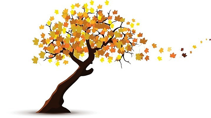 EPS 해외이미지 나무 일러스트 사람없음 해외202004 해외202105 해외일러스트 식물 파일형식 벡터