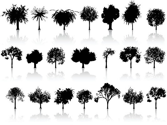 EPS 해외이미지 나무 식물 실루엣 잎 일러스트 사람없음 검은색 봄 가을 숲 해외202004 해외202105 해외일러스트 계절 컬러 촬영기법 파일형식 벡터