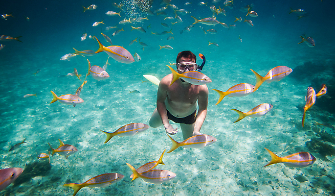 포토 JPG 해외이미지 주간 전신 응시 남자 어린이 바다 어류 한명 소년 야외 앞모습 바닷속 스노클링 잠수 잠수경 소년한명만 해외202004 해외202105 해외포토 자연요소 1 시선 뷰포인트 사람 수중 수중동물 수상스포츠 물안경 남자한명만 소년만 파일형식