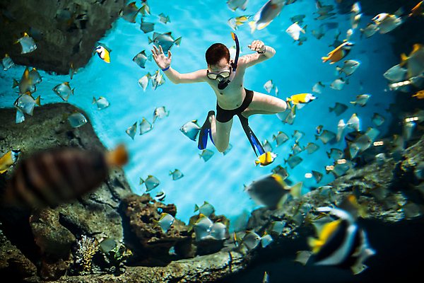 포토 JPG 해외이미지 주간 전신 남자 어린이 바다 어류 한명 소년 야외 앞모습 바닷속 스노클링 잠수 암초 잠수경 소년한명만 해외202004 해외202105 해외포토 자연요소 1 뷰포인트 사람 수중 수중동물 수상스포츠 물안경 남자한명만 소년만 파일형식