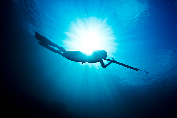 포토 JPG 해외이미지 라이프스타일 여자 실루엣 창 바다 낚시 건강 한명 사냥 암초 사냥꾼 해외202004 해외202105 해외포토 직업 1 무기 레저 촬영기법 사람 생활 파일형식