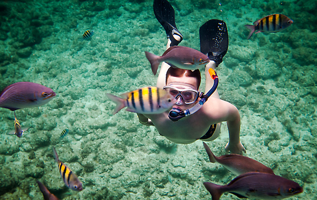 포토 JPG 해외이미지 주간 전신 응시 남자 어린이 바다 어류 한명 소년 야외 앞모습 바닷속 관찰 스노클링 잠수 잠수경 소년한명만 해외202004 해외202105 해외포토 자연요소 1 시선 뷰포인트 모션 사람 수중 수중동물 수상스포츠 물안경 남자한명만 소년만 파일형식