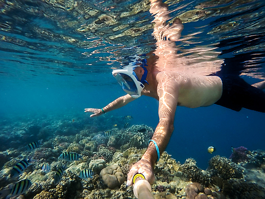 포토 JPG 해외이미지 주간 남자 바다 어류 한명 상반신 성인 야외 옆모습 바닷속 잡기 스노클링 암초 잠수경 성인남자한명만 해외202004 해외202105 해외포토 자연요소 1 뷰포인트 모션 사람 수중 수중동물 수상스포츠 물안경 남자한명만 성인남자만 파일형식