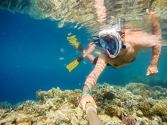 포토 JPG 해외이미지 주간 전신 남자 바다 한명 성인 야외 앞모습 바닷속 수영 관찰 잡기 스노클링 잠수 성인남자한명만 해외202004 해외202105 해외포토 자연요소 1 뷰포인트 모션 사람 수중 수상스포츠 남자한명만 성인남자만 파일형식