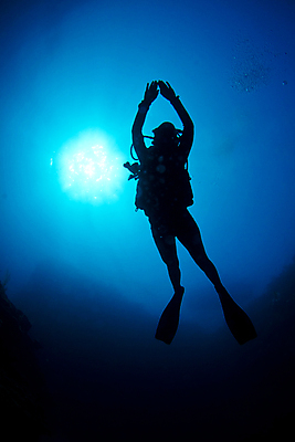 포토 JPG 해외이미지 실루엣 바다 자연 휴가 어류 한명 사람 암초 해외202004 해외202105 해외포토 1 촬영기법 수중동물 생태계 파일형식