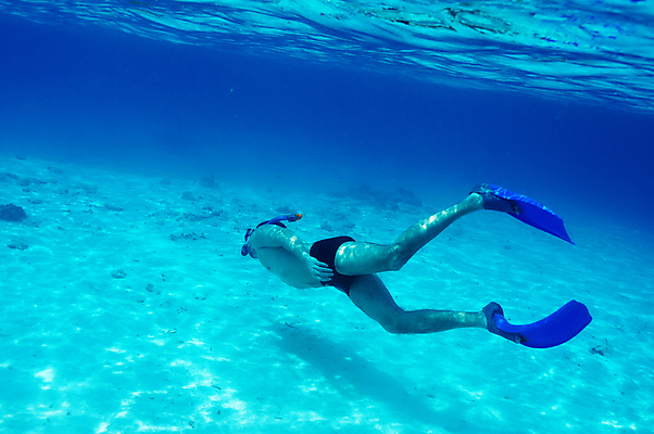 포토 JPG 해외이미지 주간 전신 남자 바다 한명 성인 야외 옆모습 여름 바닷속 수영 스노클링 오리발 잠수 몰디브 성인남자한명만 해외202004 해외202105 해외포토 자연요소 1 계절 아시아 뷰포인트 사람 수중 수상스포츠 남자한명만 성인남자만 파일형식