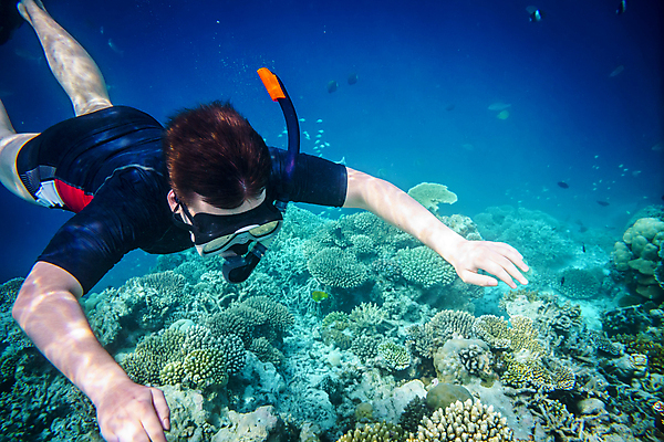 포토 JPG 해외이미지 주간 전신 남자 어린이 바다 한명 소년 야외 앞모습 옆모습 바닷속 관찰 스노클링 산호 잠수 소년한명만 해외202004 해외202105 해외포토 자연요소 1 뷰포인트 모션 사람 수중 수상스포츠 자포동물 남자한명만 소년만 파일형식