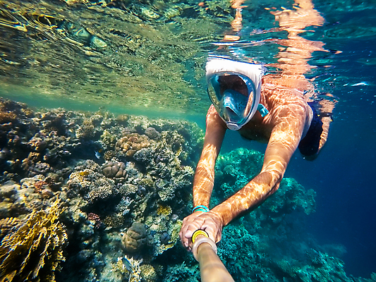 포토 JPG 해외이미지 주간 전신 남자 바다 한명 성인 야외 옆모습 바닷속 잡기 스노클링 잠수 암초 봉 잠수경 성인남자한명만 해외202004 해외202105 해외포토 자연요소 1 뷰포인트 모션 사람 수중 수상스포츠 물안경 남자한명만 성인남자만 파일형식