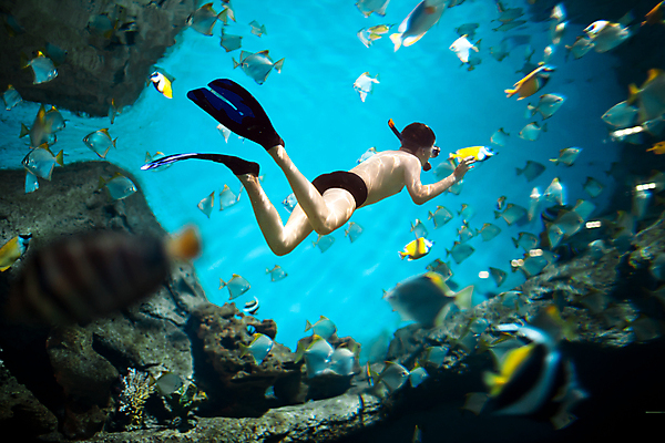 포토 JPG 해외이미지 주간 전신 남자 어린이 바다 한명 소년 야외 옆모습 바닷속 수영 스노클링 오리발 열대어 잠수 소년한명만 해외202004 해외202105 해외포토 자연요소 1 뷰포인트 어류 사람 수중 수상스포츠 남자한명만 소년만 파일형식