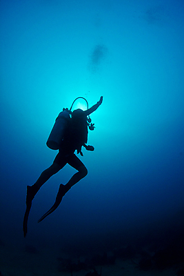 포토 JPG 해외이미지 바다 여행 자연 휴가 한명 사람 암초 해외202004 해외202105 해외포토 1 생태계 파일형식