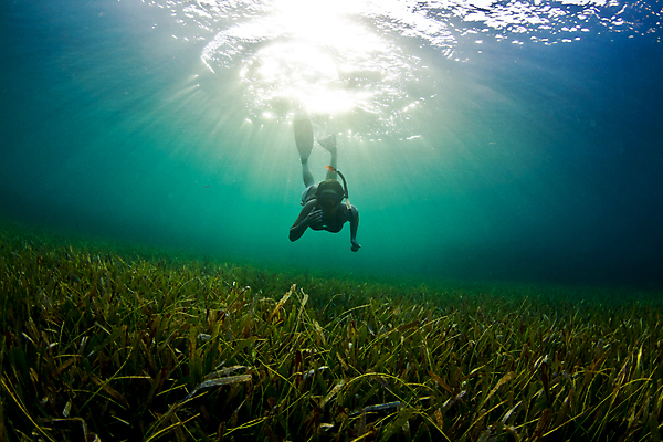 포토 JPG 해외이미지 바다 여행 한명 비키니 암초 해외202004 해외202105 해외포토 1 수영복 사람 파일형식