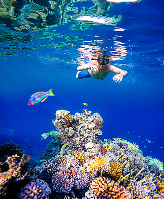 포토 JPG 해외이미지 주간 남자 어린이 바다 한명 소년 상반신 야외 앞모습 10대 바닷속 관찰 스노클링 산호 열대어 잠수 잠수경 소년한명만 해외202004 해외202105 해외포토 자연요소 1 뷰포인트 모션 청소년 어류 사람 수중 수상스포츠 자포동물 물안경 남자한명만 소년만 파일형식