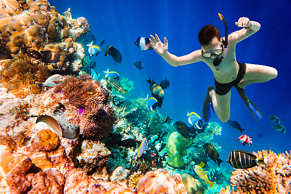 포토 JPG 해외이미지 주간 전신 남자 어린이 바다 한명 소년 야외 앞모습 바닷속 관찰 스노클링 산호 열대어 잠수 잠수경 몰디브 소년한명만 해외202004 해외202105 해외포토 자연요소 1 아시아 뷰포인트 모션 어류 사람 수중 수상스포츠 자포동물 물안경 남자한명만 소년만 파일형식