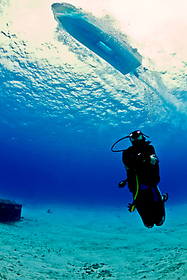 포토 JPG 해외이미지 여자 모래 바다 여행 자연 한명 암초 해외202004 해외202105 해외포토 1 사람 생태계 파일형식