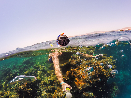 포토 JPG 해외이미지 행복 바다 자연 휴가 열대 어류 한명 미소 풍경 바닷속 스노클링 산호 암초 해외202004 해외202105 해외포토 1 감정 표정 사람 수중 수중동물 수상스포츠 자포동물 생태계 파일형식