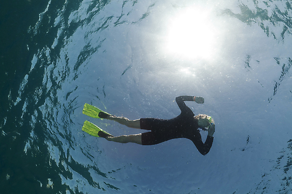 포토 JPG 해외이미지 식물 모래 바다 자연 어류 풍경 사람없음 햇빛 태양 바닷속 스노클링 산호 암초 해외202004 해외202105 해외포토 자연요소 수중 수중동물 수상스포츠 자포동물 생태계 파일형식