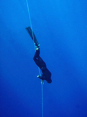 포토 JPG 해외이미지 바다 자연 어류 사람없음 해외202004 해외202105 해외포토 수중동물 생태계 파일형식