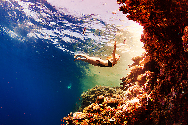 포토 JPG 해외이미지 라이프스타일 여자 행복 바다 여행 자연 건강 어류 한명 사람 성인 스노클링 산호 암초 해외202004 해외202105 해외포토 1 감정 생활 수중동물 수상스포츠 자포동물 생태계 파일형식