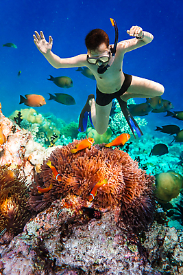 포토 JPG 해외이미지 주간 전신 남자 어린이 바다 한명 소년 야외 앞모습 바닷속 관찰 스노클링 산호 열대어 잠수 잠수경 몰디브 소년한명만 해외202004 해외202105 해외포토 자연요소 1 아시아 뷰포인트 모션 어류 사람 수중 수상스포츠 자포동물 물안경 남자한명만 소년만 파일형식