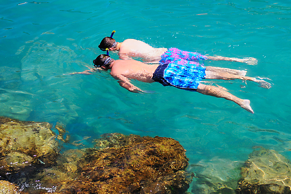 포토 JPG 해외이미지 남자 바다 여행 자연 휴가 휴식 사람 사람없음 만 스노클링 산호 휴양지 암초 해외202004 해외202105 해외포토 컨셉 장소 수상스포츠 자포동물 생태계 파일형식