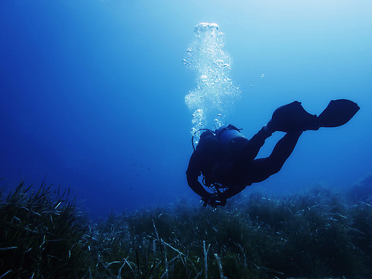 포토 JPG 해외이미지 바다 섬 여행 자연 휴가 사람없음 환경 다양 생태계 암초 생태학 해외202004 해외202105 해외포토 교육 다수 파일형식