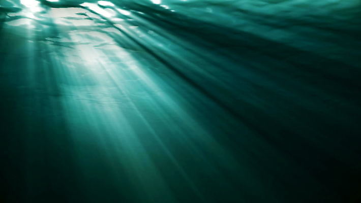 포토 JPG 해외이미지 호수 바다 자연 휴식 사람없음 햇빛 바닷속 애니메이션 해외202004 해외202105 해외포토 컨셉 태양 수중 생태계 파일형식