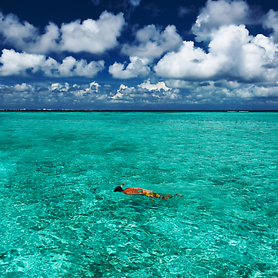 포토 JPG 해외이미지 주간 전신 구름 남자 바다 하늘 한명 성인 야외 옆모습 여름 스노클링 잠수 몰디브 성인남자한명만 해외202004 해외202105 해외포토 자연요소 1 계절 아시아 뷰포인트 사람 수상스포츠 남자한명만 성인남자만 파일형식