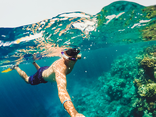 포토 JPG 해외이미지 주간 전신 남자 바다 한명 성인 야외 옆모습 바닷속 수영 스노클링 잠수 암초 잠수경 성인남자한명만 해외202004 해외202105 해외포토 자연요소 1 뷰포인트 사람 수중 수상스포츠 물안경 남자한명만 성인남자만 파일형식